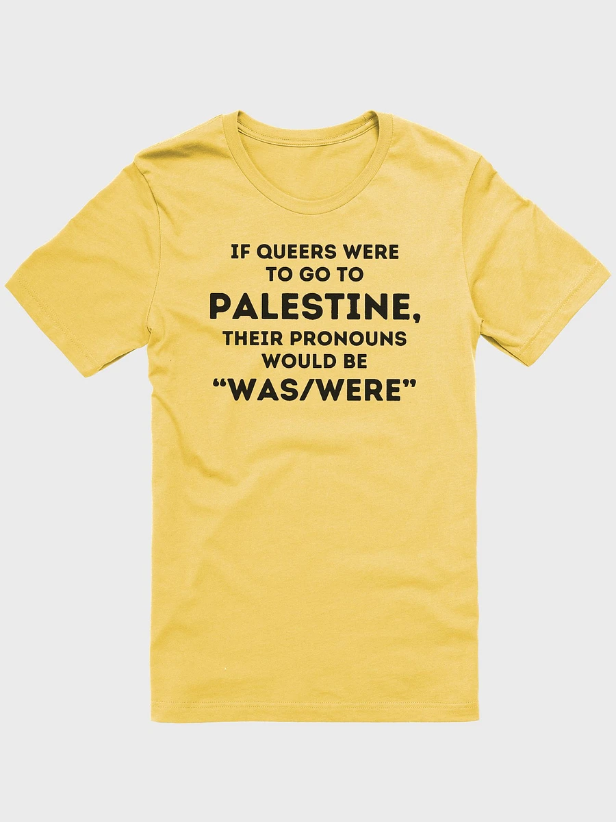 Queers for Palestine Shirt product image (57)