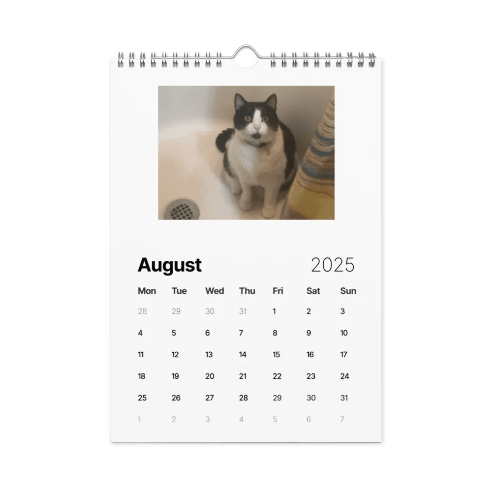 50 Shades of Haru - 2025 Wall Calendar product image (2)