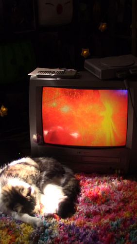 setup is kitty approved >:3
.
.
.
#dmc #devilmaycry #vintage #retro #oldschool #90s #2000s #playstation #playstation2 #ps2 #k...