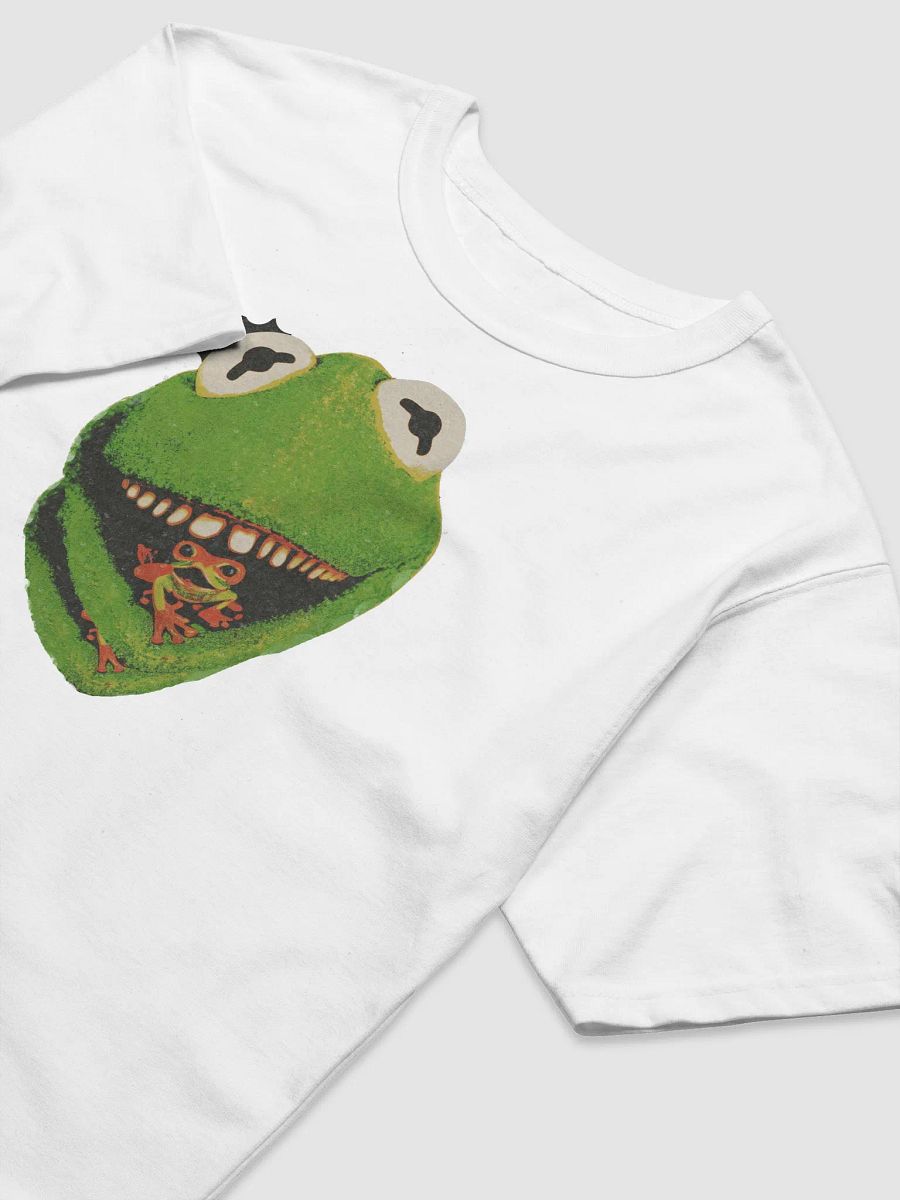 Kermit Graphic Tee product image (33)
