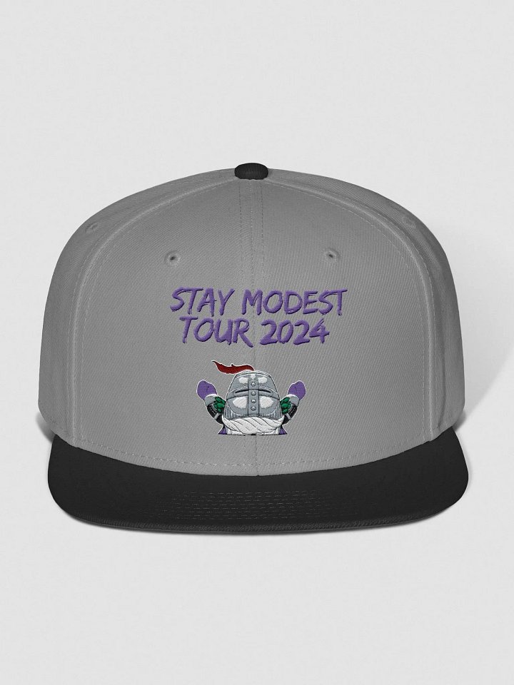 Stay Modest Tour product image (4)