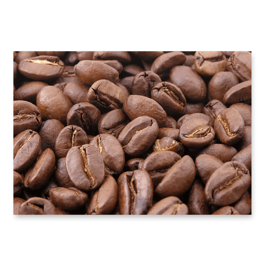 Roasted Reverie Wrapping Paper Set product image (10)
