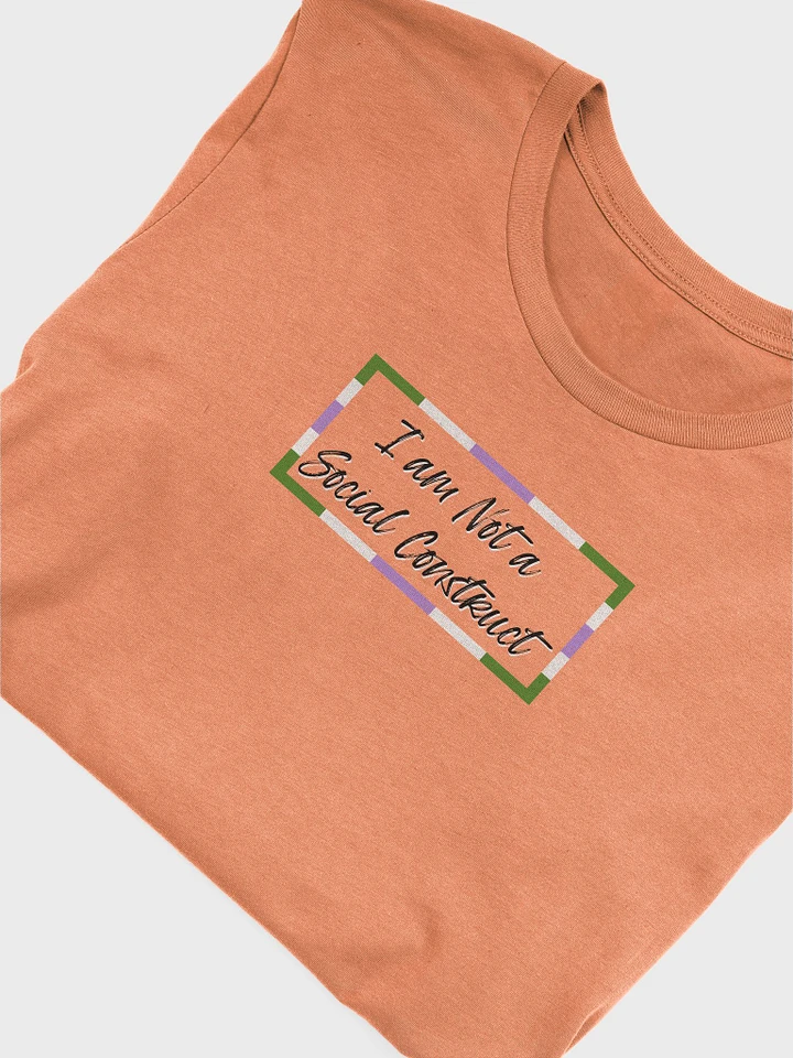 I am Not a Social Construct (lg) - Gender Queer - Supersoft T product image (1)