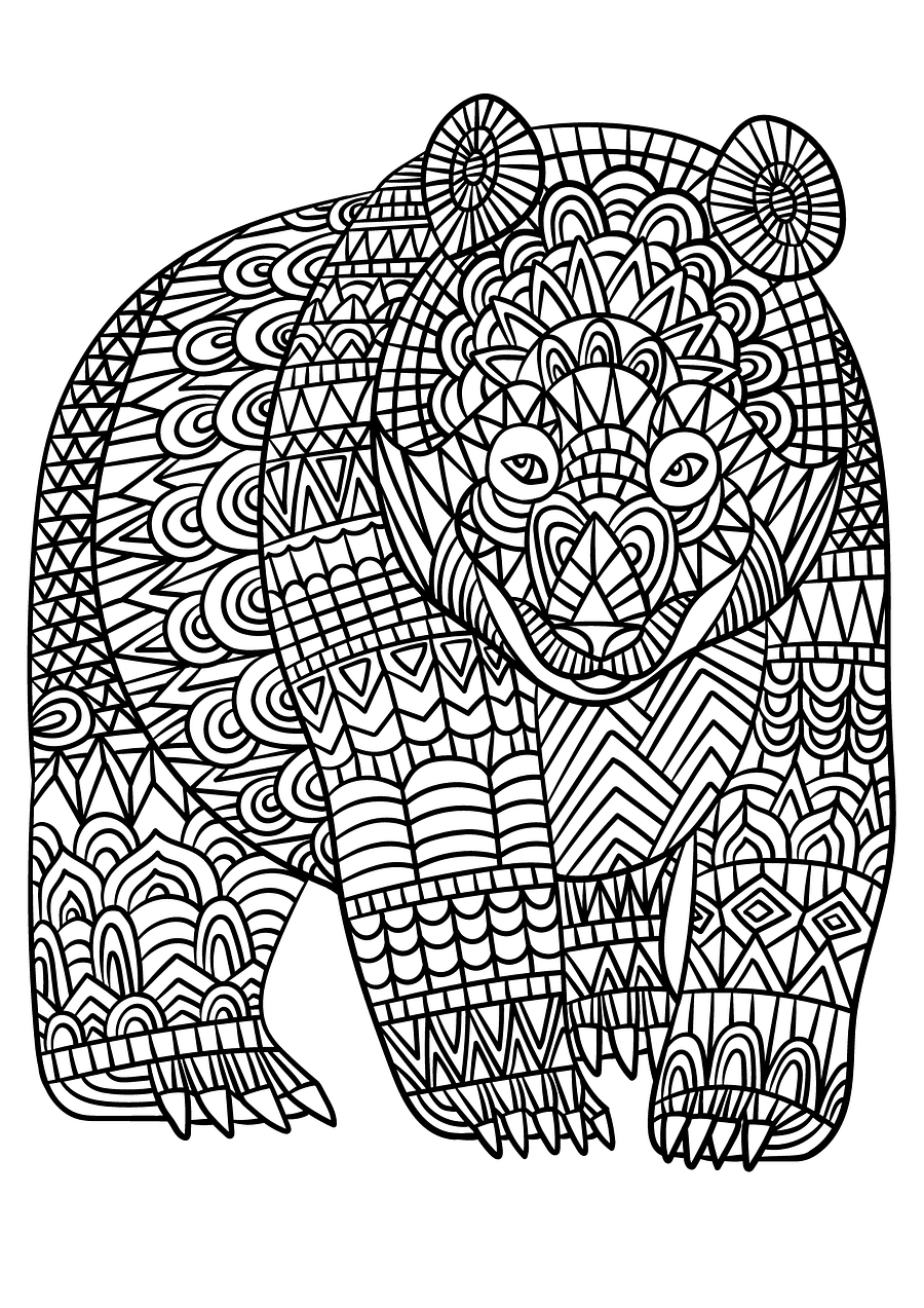 Adult colouring book product image (4)