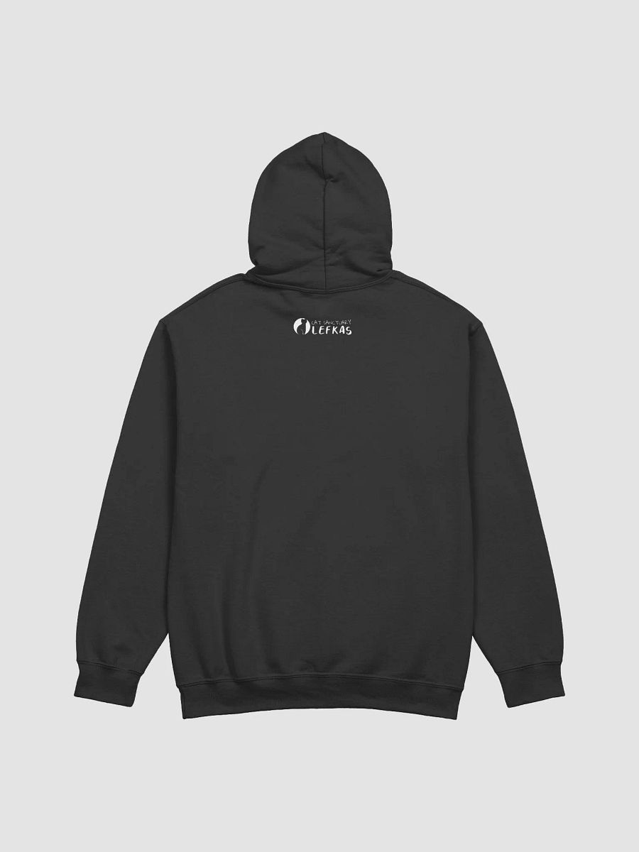 cattitude hoodie product image (9)