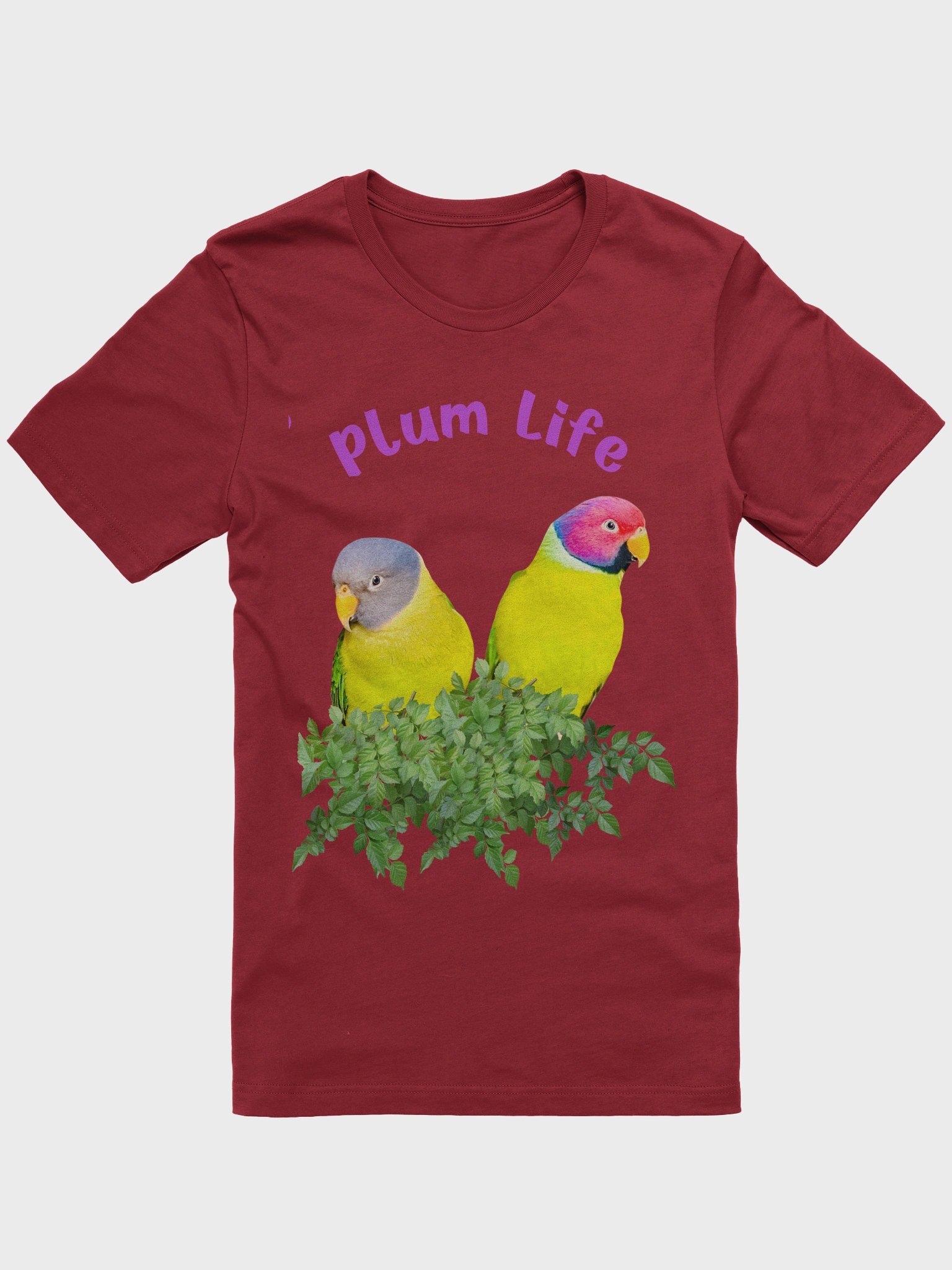 Rainbow Rebels product image (1)