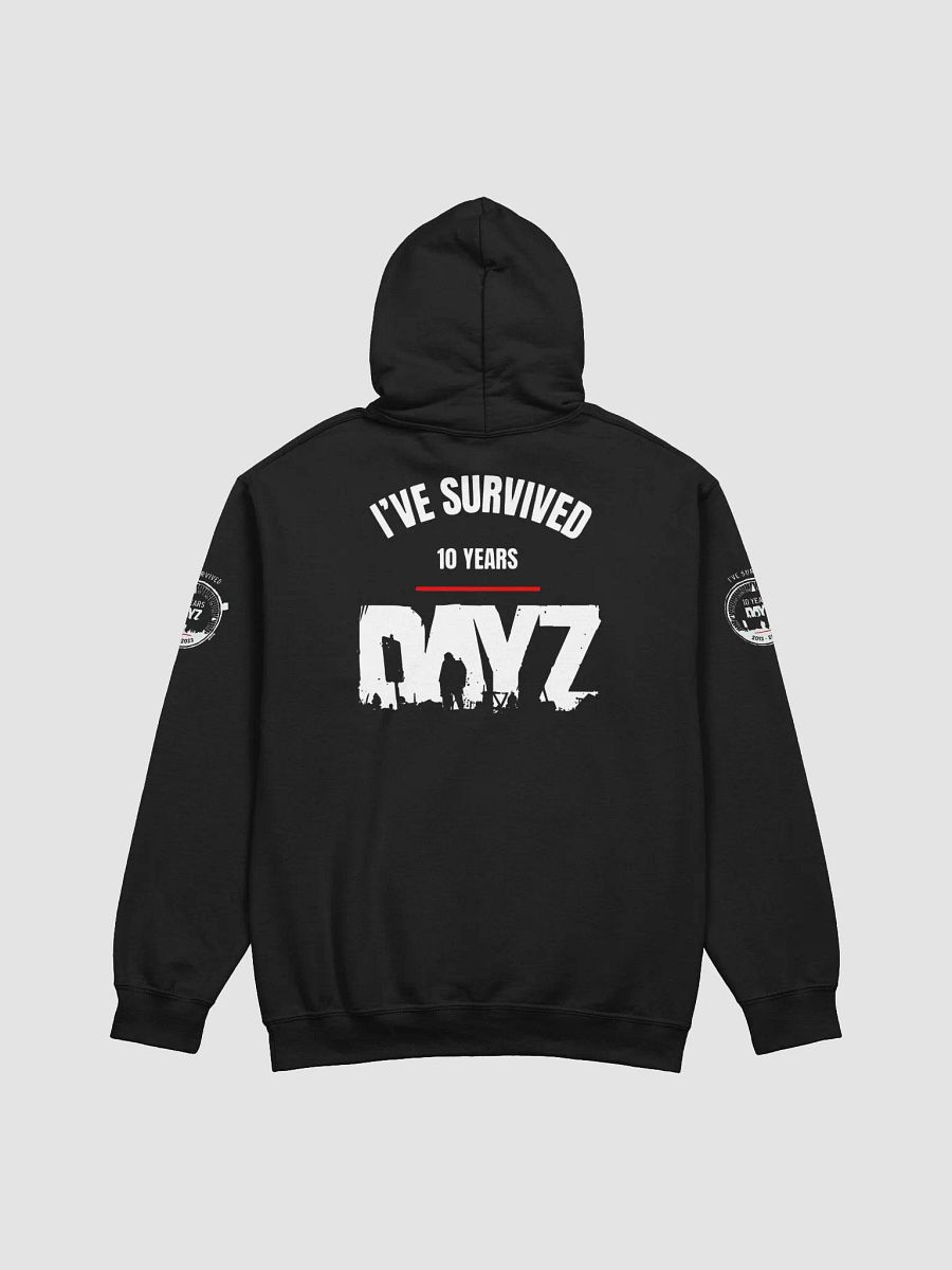 DAYZ Anniversary Hoodie product image (3)