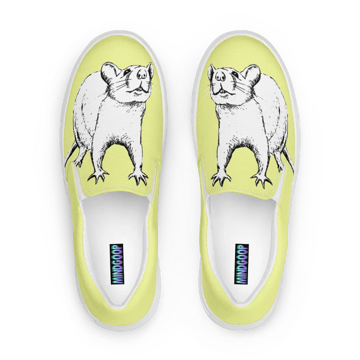 Hint of rat slip on canvas shoes product image (2)