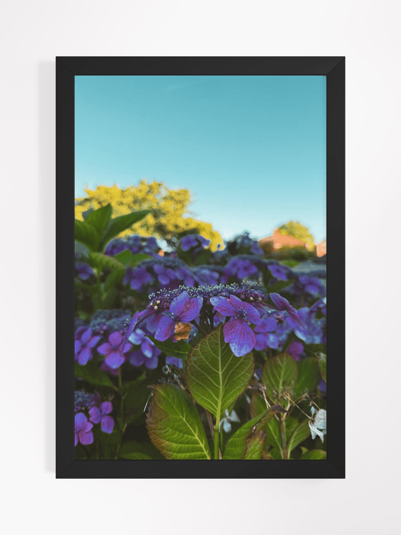 Vibrant Serenity product image (1)