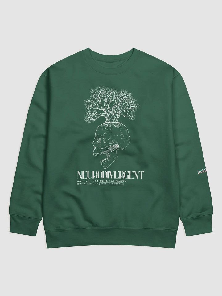 NEURODIVERGENT SKULL premium sweatshirt product image (9)