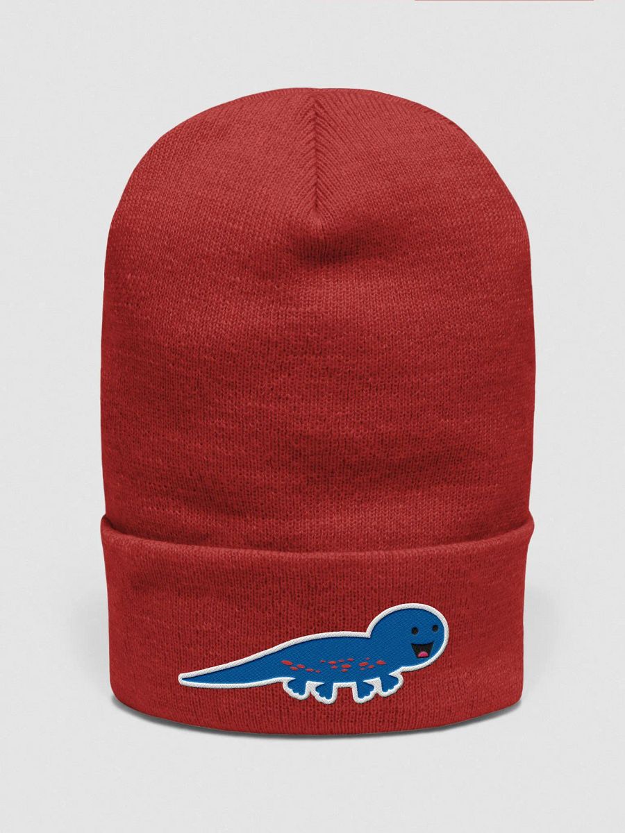 Salamander Beanie product image (1)