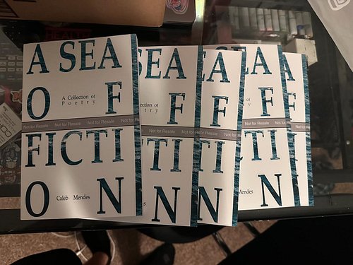 PROOFS ARE IN!!!

Test prints for my second book, A Sea of Fiction, have arrived! This book is vulnerable in a much different...