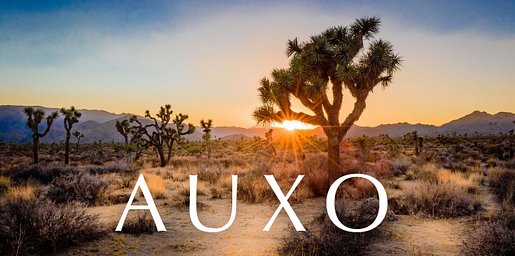 Hiraeth: Auxo