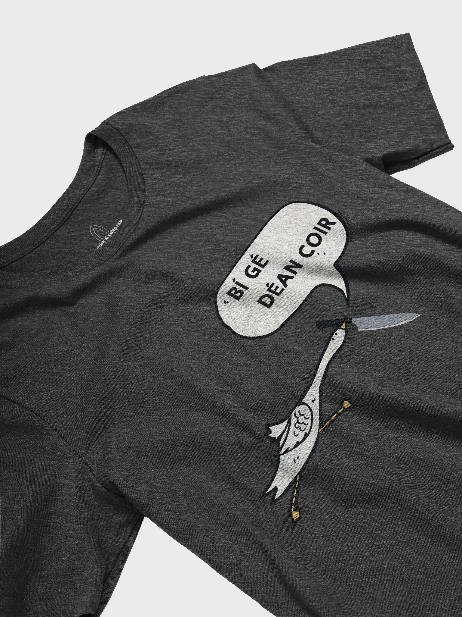 Bí Gé Déan Coir T-shirt product image (2)