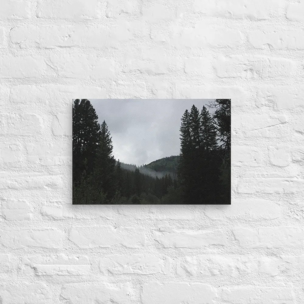 Though the Tree Line - Canvas product image (7)