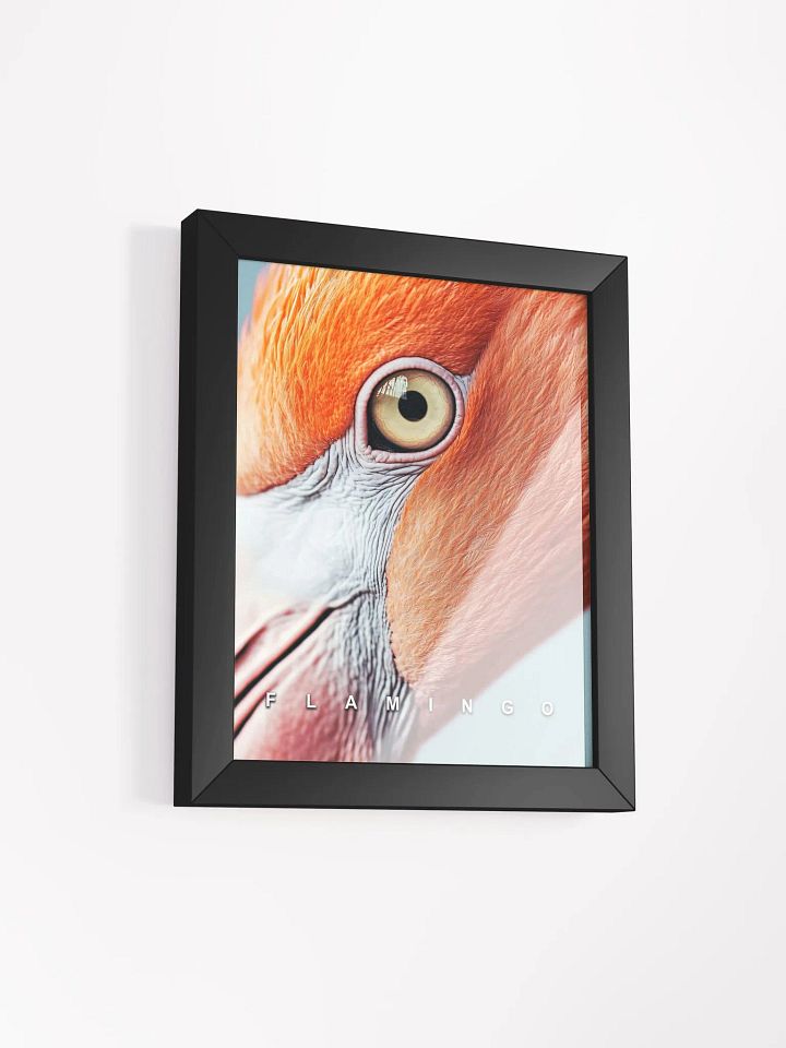 Flamingo's Eye Matte Poster product image (12)