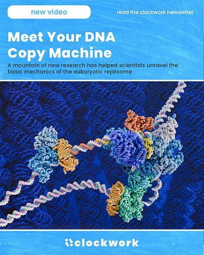 🧬 Eukaryotes sure like to make things complicated. 

Every time your cells need to divide—they need to copy your entire genom...