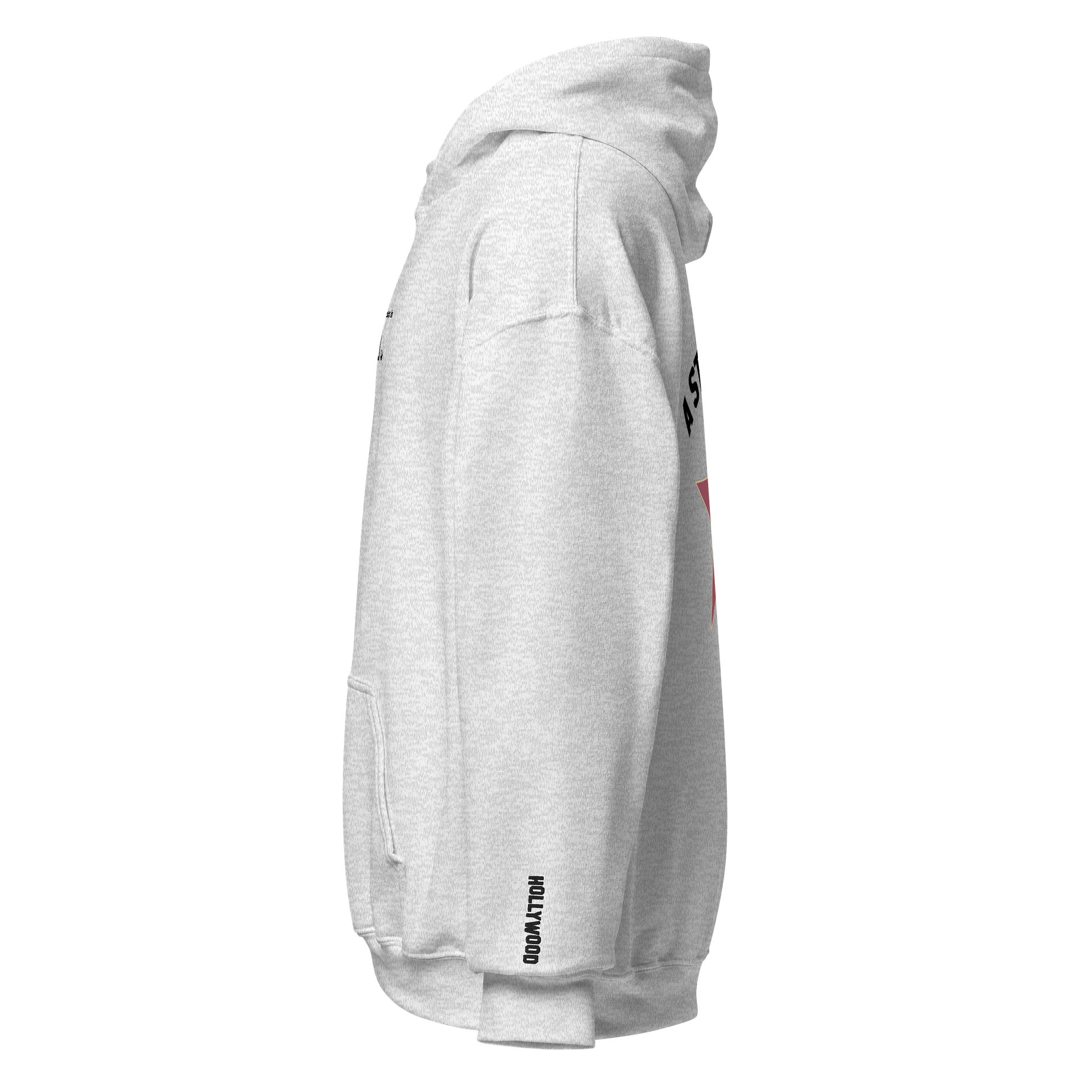 A Star is Born Hoodie✨ (Hollywood Dream Edition) product image (9)