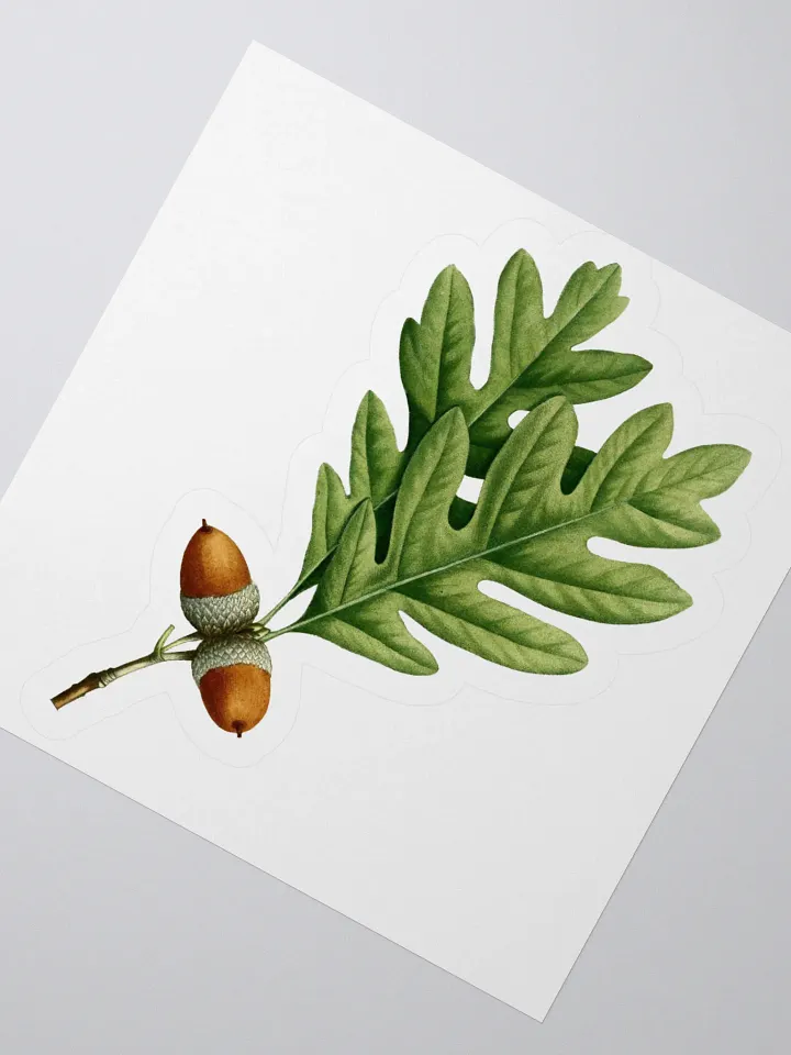 White Oak Sticker product image (2)