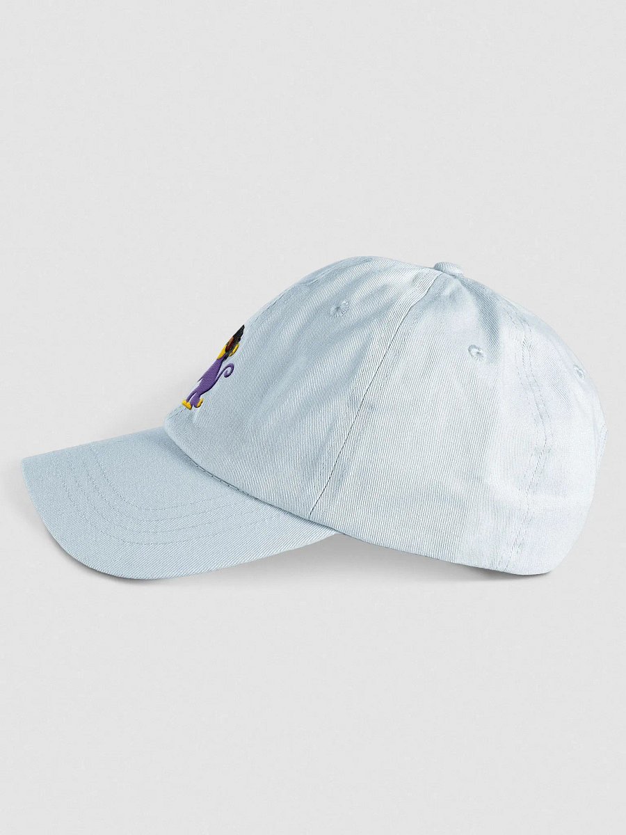 Boozler Dad Hat product image (9)