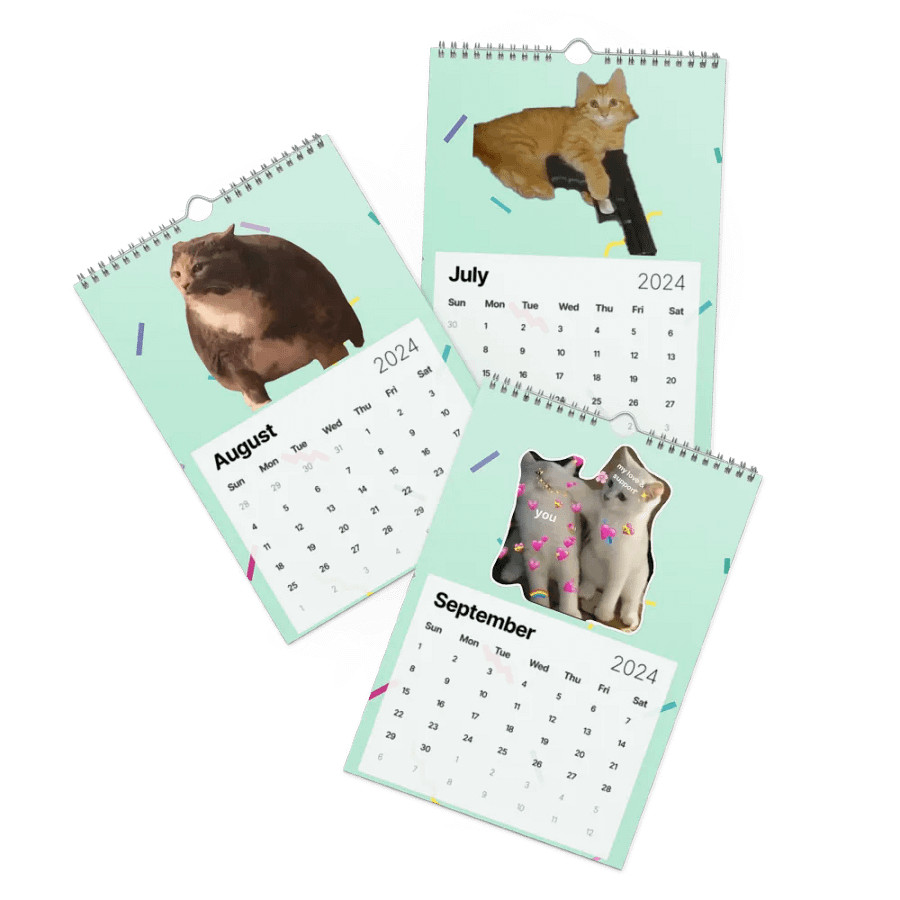 Wall Calendar (2024): Meme Cats product image (11)