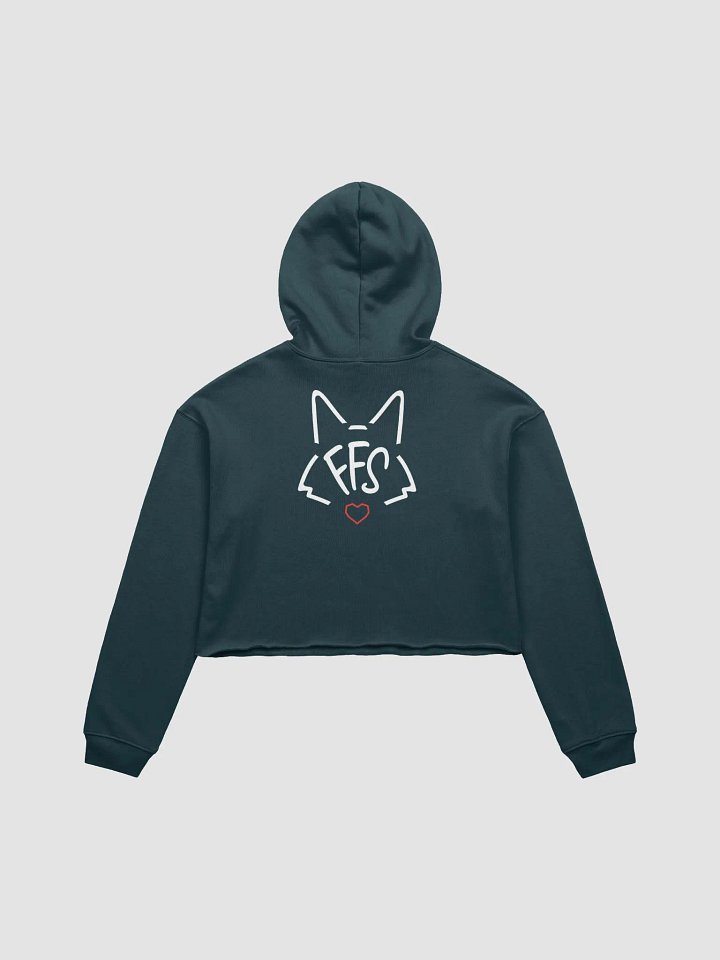 FFS Cropped Hoodie product image (8)