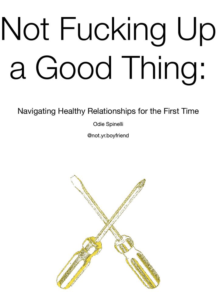 Not F*cking up a Good Thing: Navigating Healthy Relationships for the First Time product image (1)