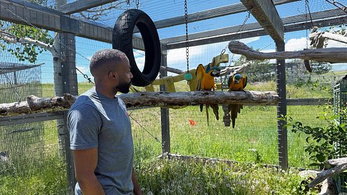 Our tour of @tgfparrots in Elizabeth Colorado will be published on YouTube tomorrow!! Are you ready? Huge thank you to The Ga...