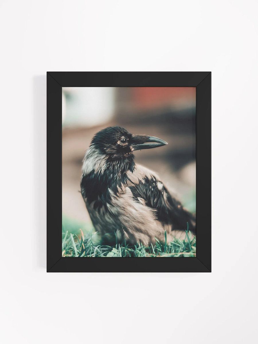 In loving memory of Hafez product image (4)