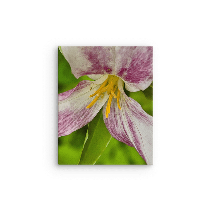 Burst of Color Canvas Art product image (9)