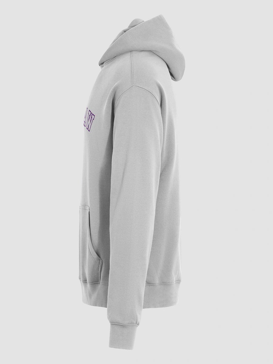 SWLAW- Hoodie product image (7)