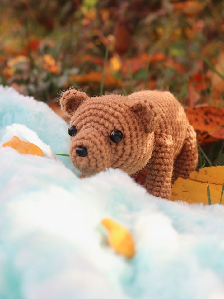 Ollie the Bear PDF product image (1)