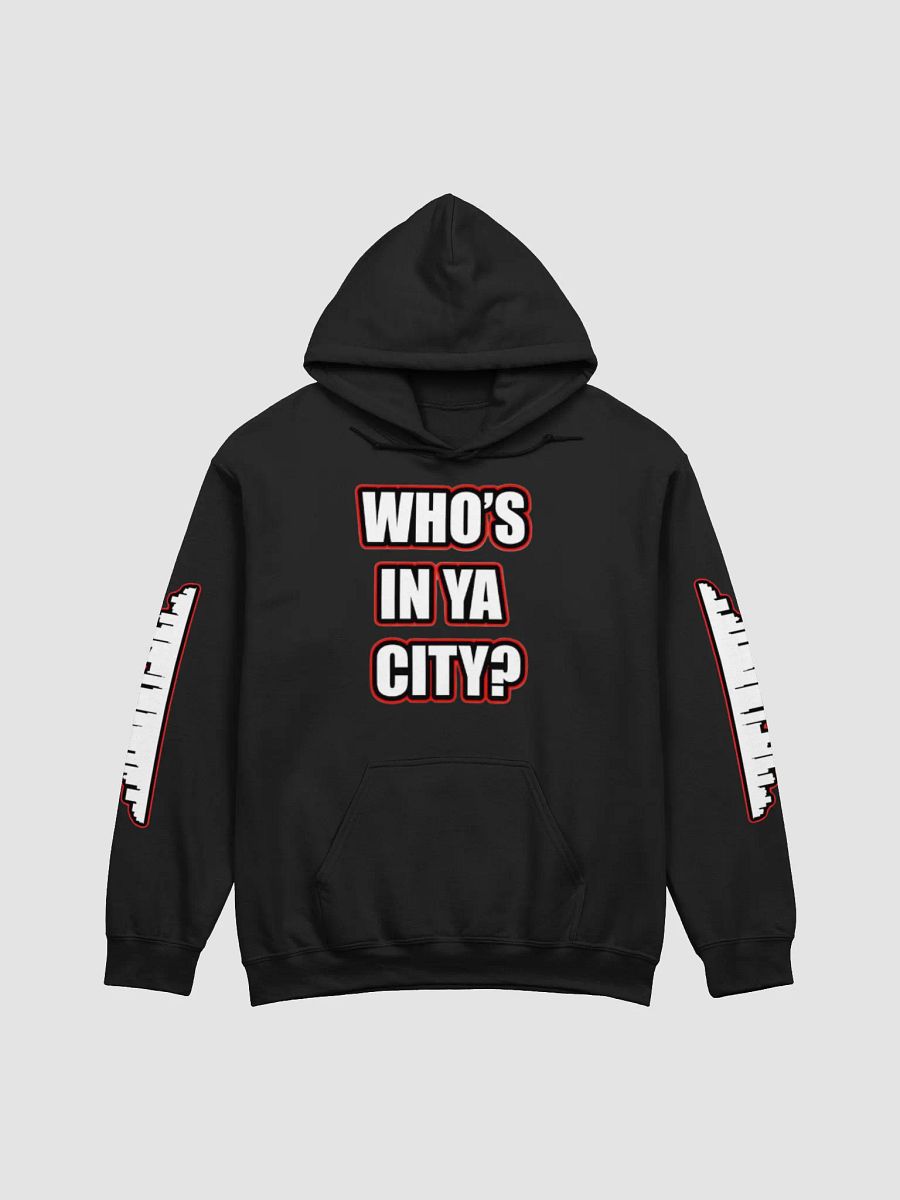 TeNN4OUR City Vibes Hoodie product image (2)