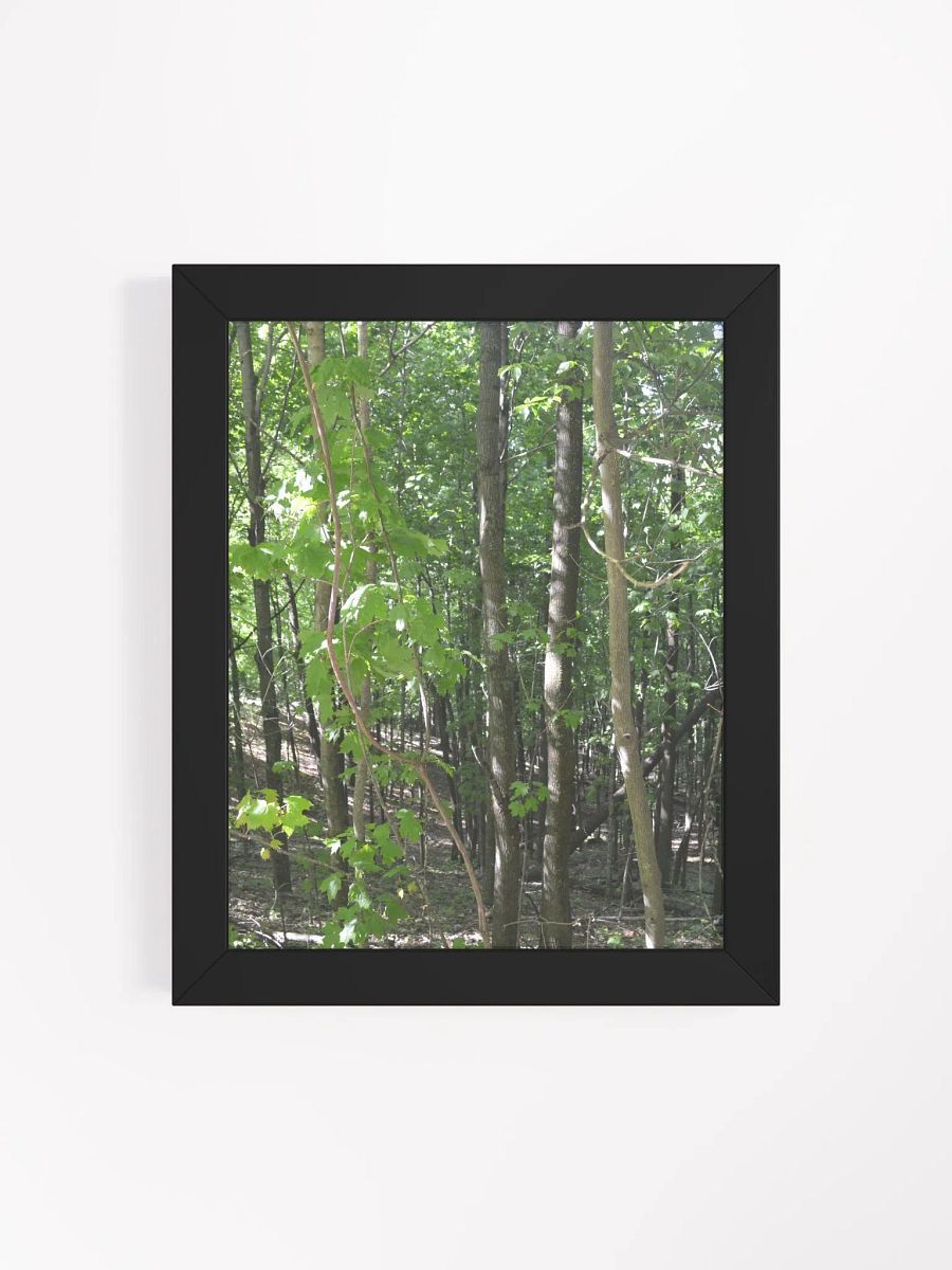 Forest High Quality Matte Poster product image (4)