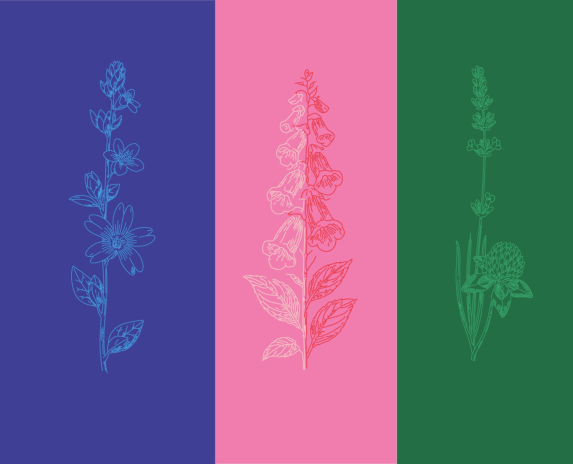 Botanical Line Art Bundle – Floral SVG Art Collection with Flowers, Leaves, Plants, and More product image (6)