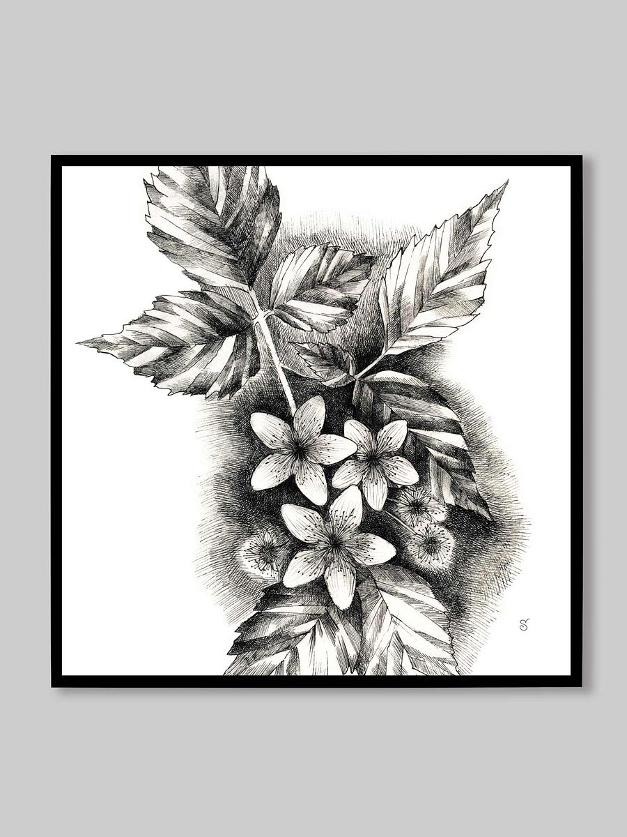 Blank Canvas Masterpieces - Jasmine product image (60)