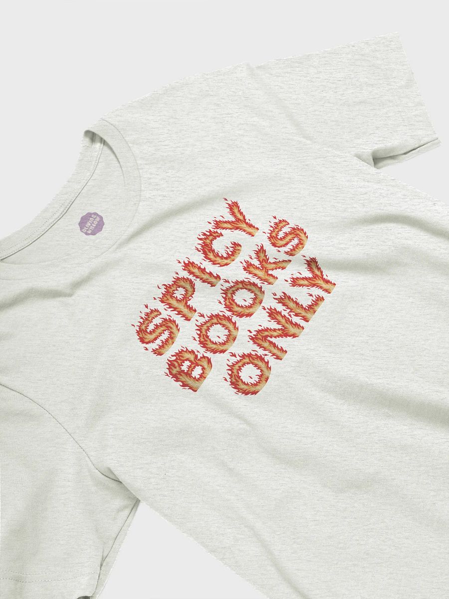 Spicy Books Only Tshirt product image (23)