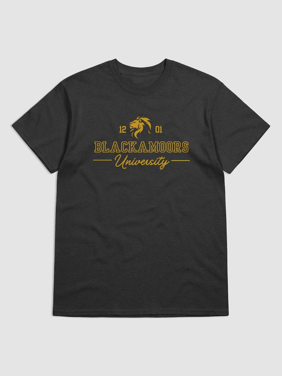 BlackaMoors University product image (1)