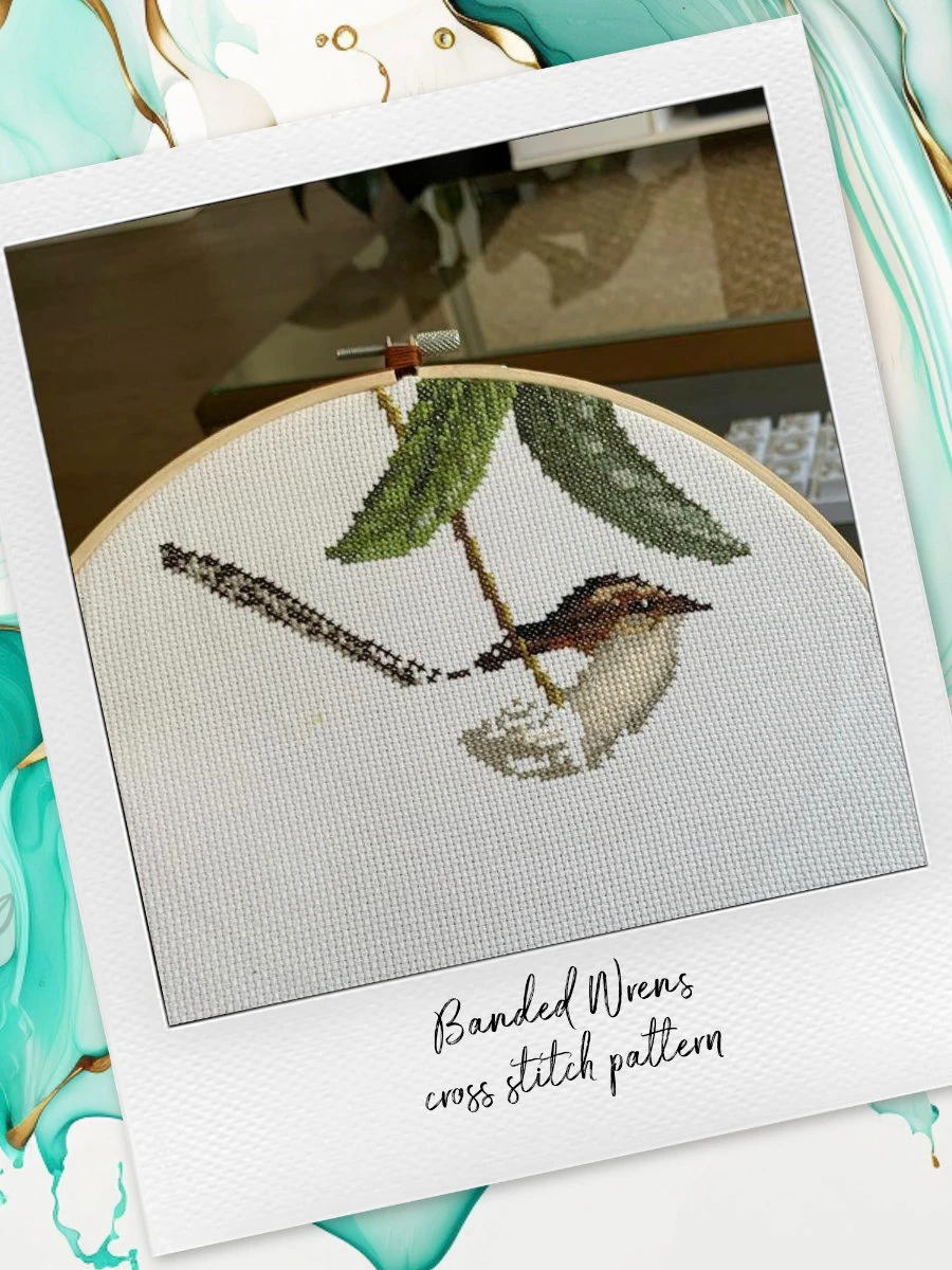 Banded Wrens: Bird Cross Stitch Pattern PDF product image (6)