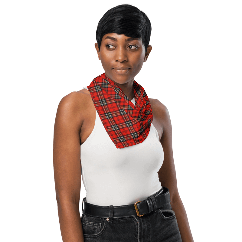 Red Vintage Plaid Bandana product image (3)