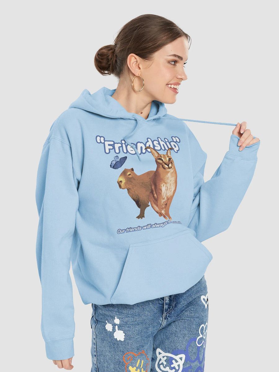 "Friendship" BIG FLOPPA x CAPYBARA HOODIE product image (7)