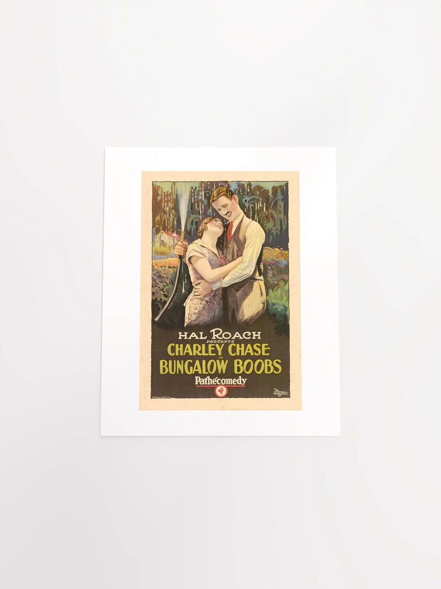 Bungalow Boobs (1924) Poster - Print product image (4)