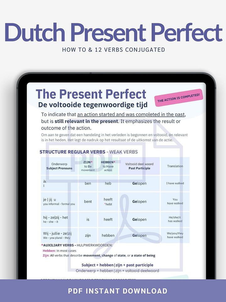 The Present Perfect product image (1)