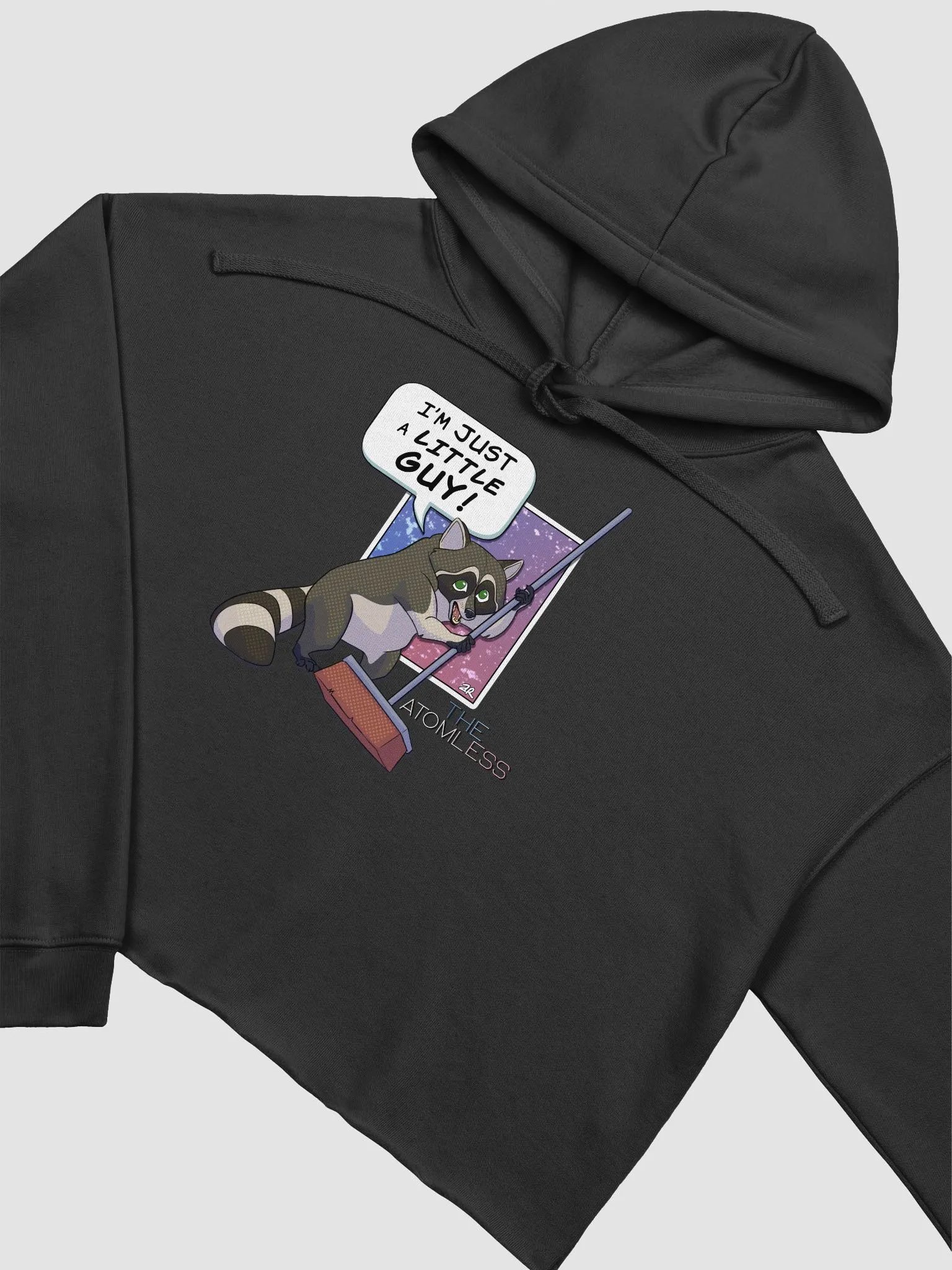 Guy the Racoon Crop Hoodie product image (12)