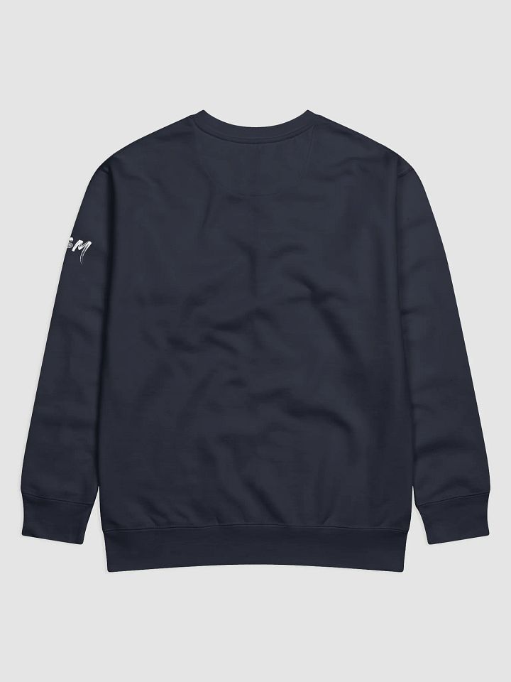 Best One In The Room Premium Sweatshirt product image (6)
