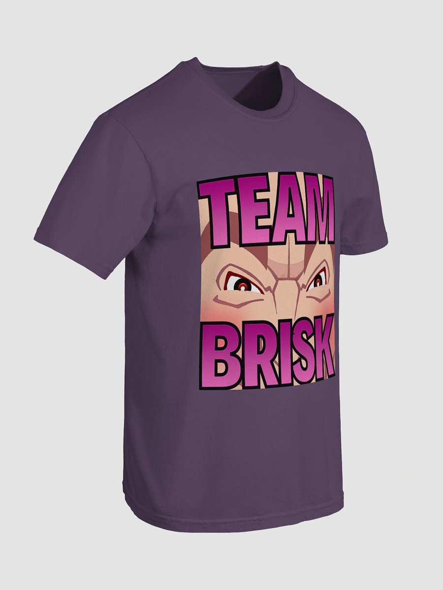 Team Brisk Heavyweight Tee Pink Fade Logo product image (31)