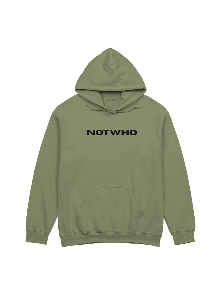 Embroidered Hoodie product image (1)