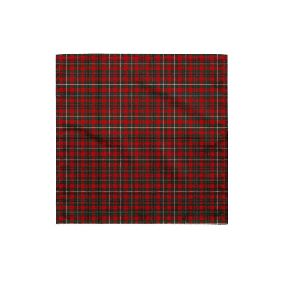 MacGregor Tartan Bandana product image (4)