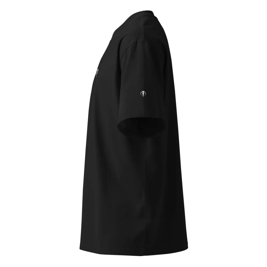 Odyssey Oversized T-Shirt product image (4)