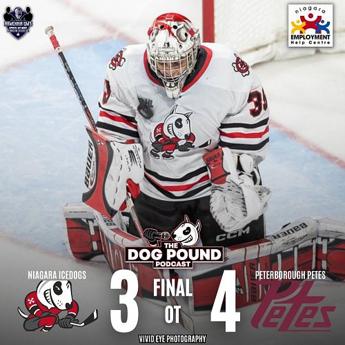 END OF GAME SCORING between IceDogs and Petes brought to you by Niagara Employment Help Centre (@niagara_employment).

SHOTS
...